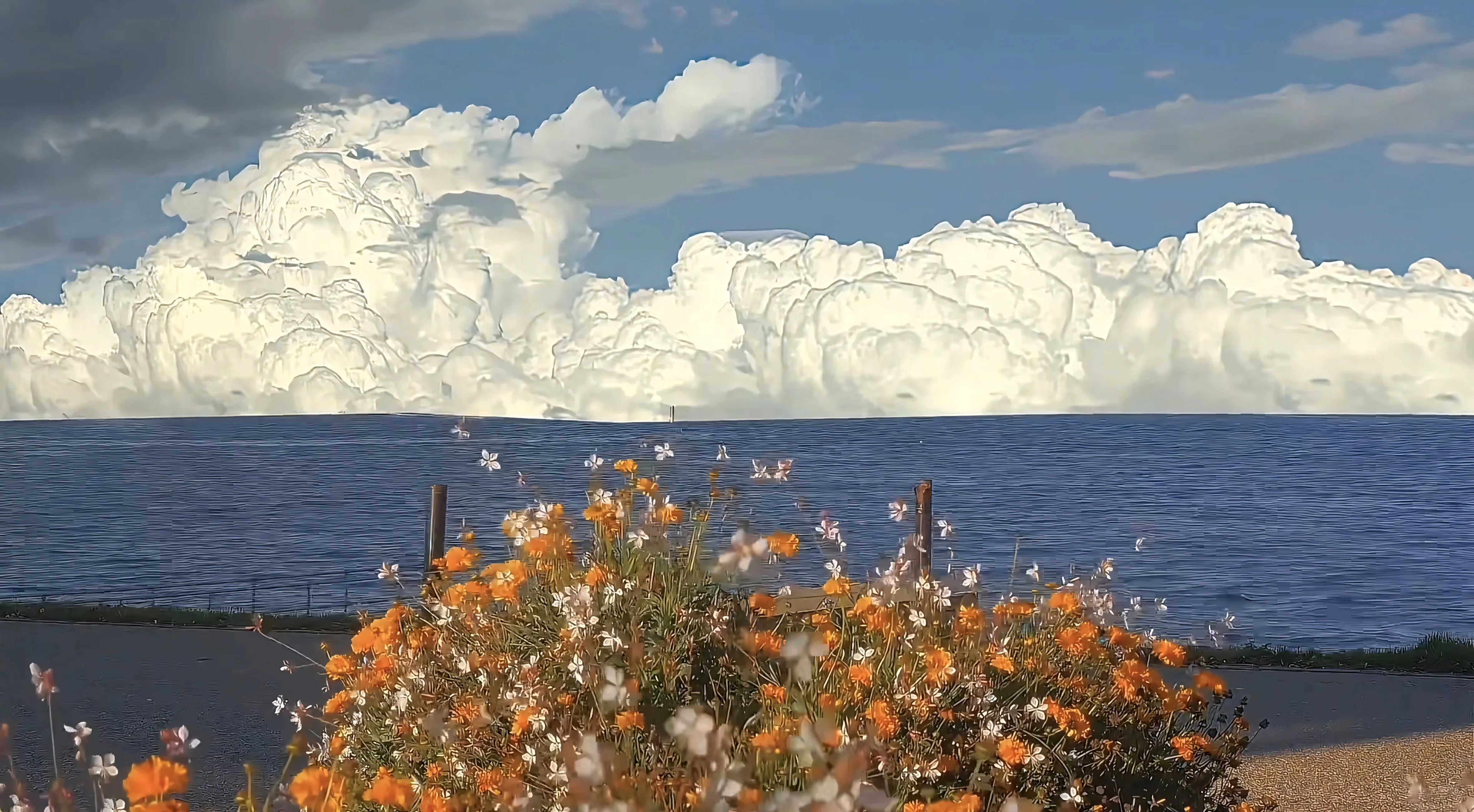 本站2025年9月告知：中考竞争激烈，更新频率将减少