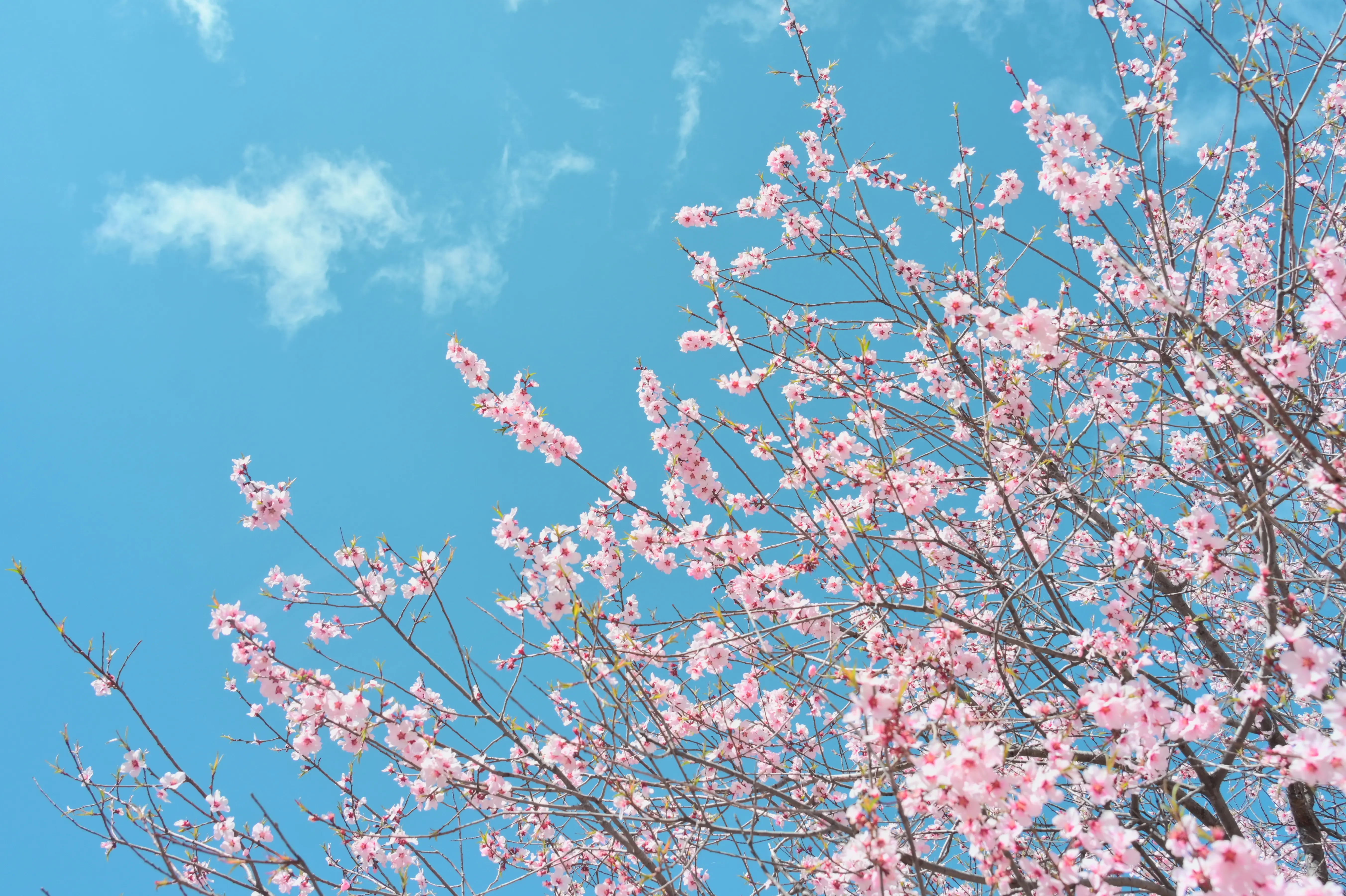 Joe再续前缘魔改（四）